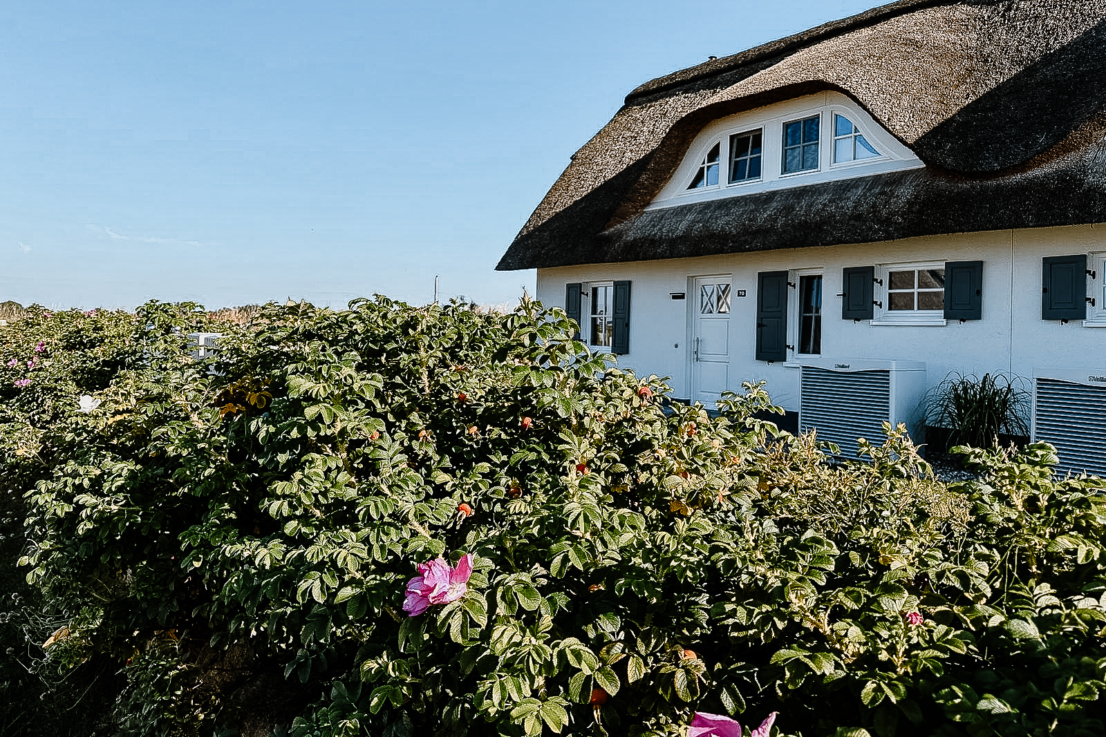 Ferienhaus-Seekrabbe-Zierow-2024